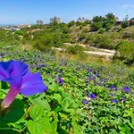 Lägenhet Familjeboende Med Stor Gemensam Pool Och Fin Utsikt Torrevieja
