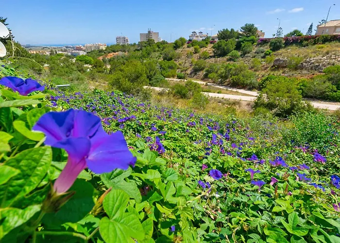 Apartment Familjeboende Med Stor Gemensam Pool Och Fin Utsikt Torrevieja